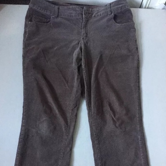 lane bryant corduroy pants